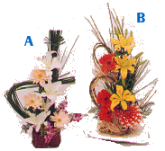 cf_11.gif (30542 bytes)