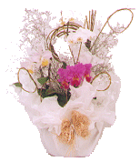 cf_12.gif (31049 bytes)