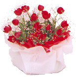 cf_6.gif (28879 bytes)