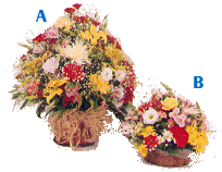 cf_7.gif (31856 bytes)